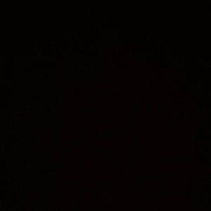 Meet your Posher, Avery